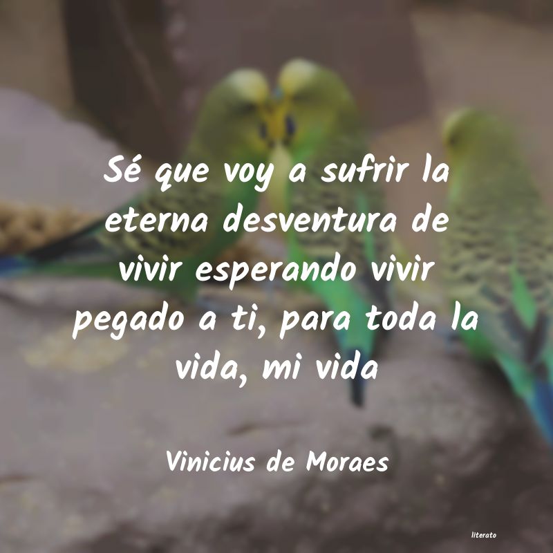 frases de Vinicius de Moraes