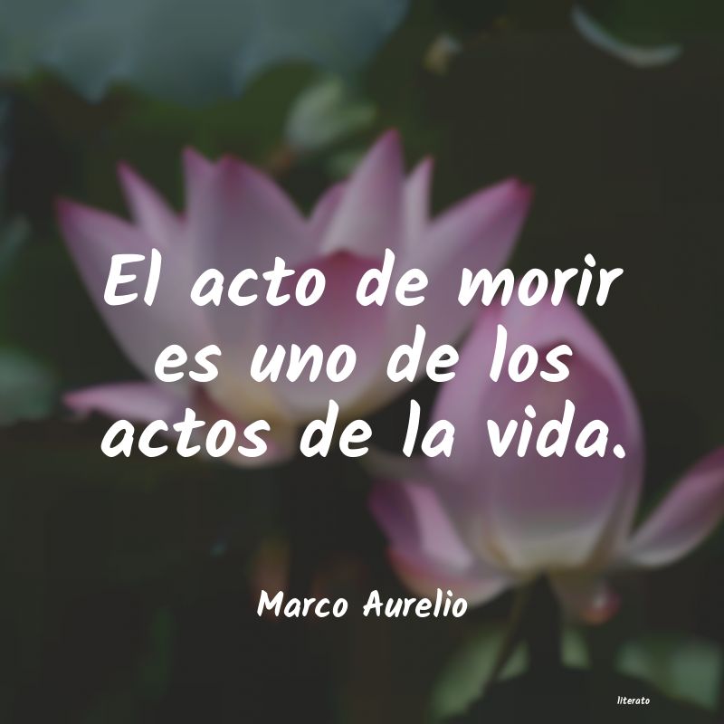 frases de Marco Aurelio
