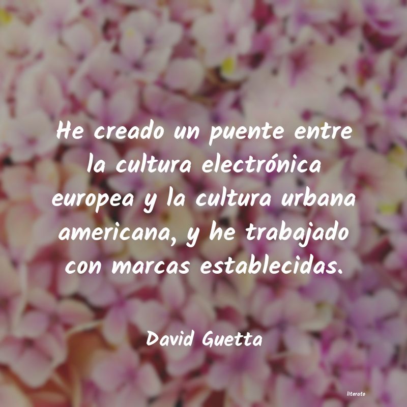 Frases de David Guetta