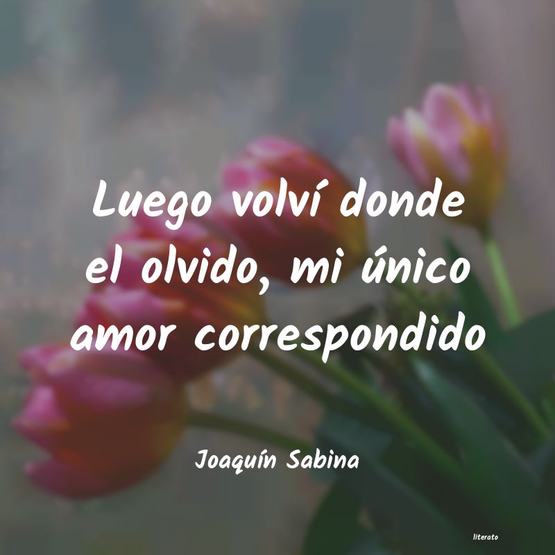 frases de JoaquÃn Sabina