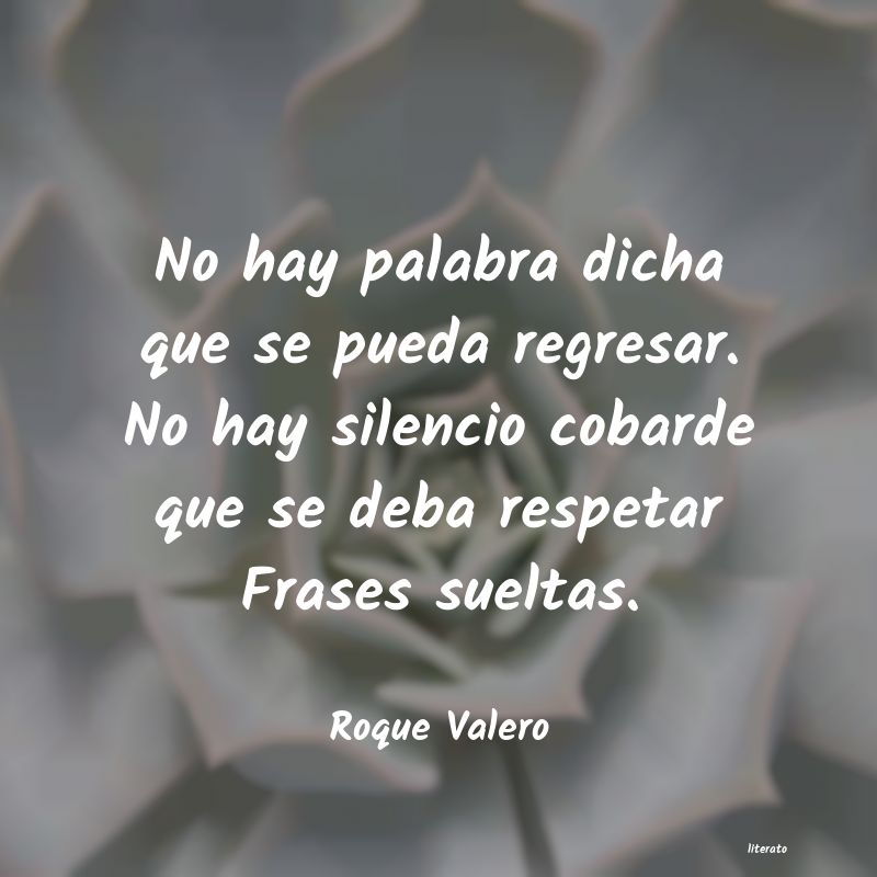 Frases de Roque Valero