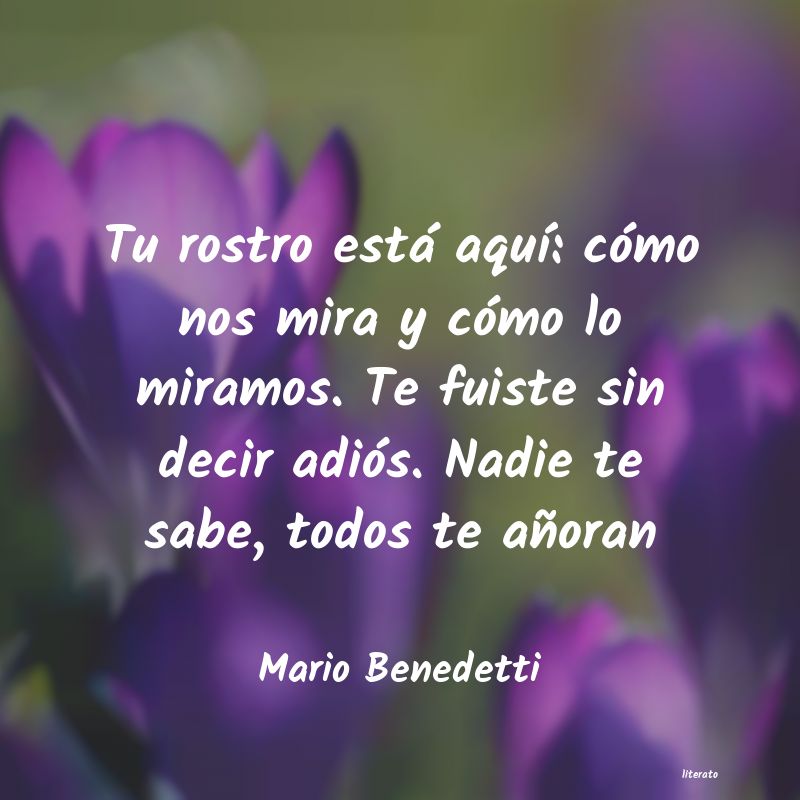 Frases de Mario Benedetti