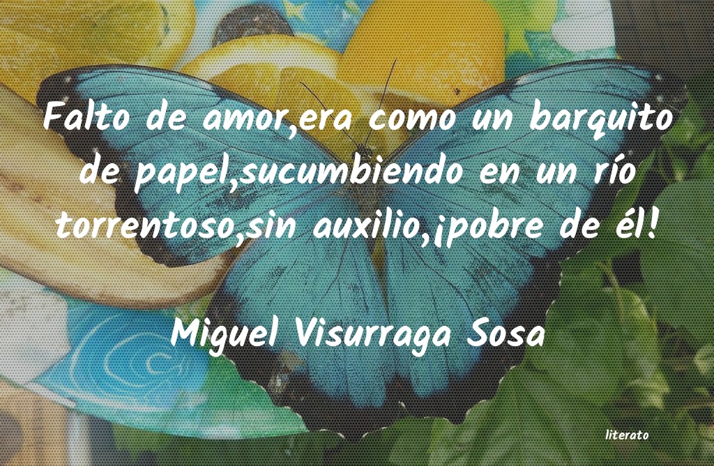 Frases de Miguel Visurraga Sosa