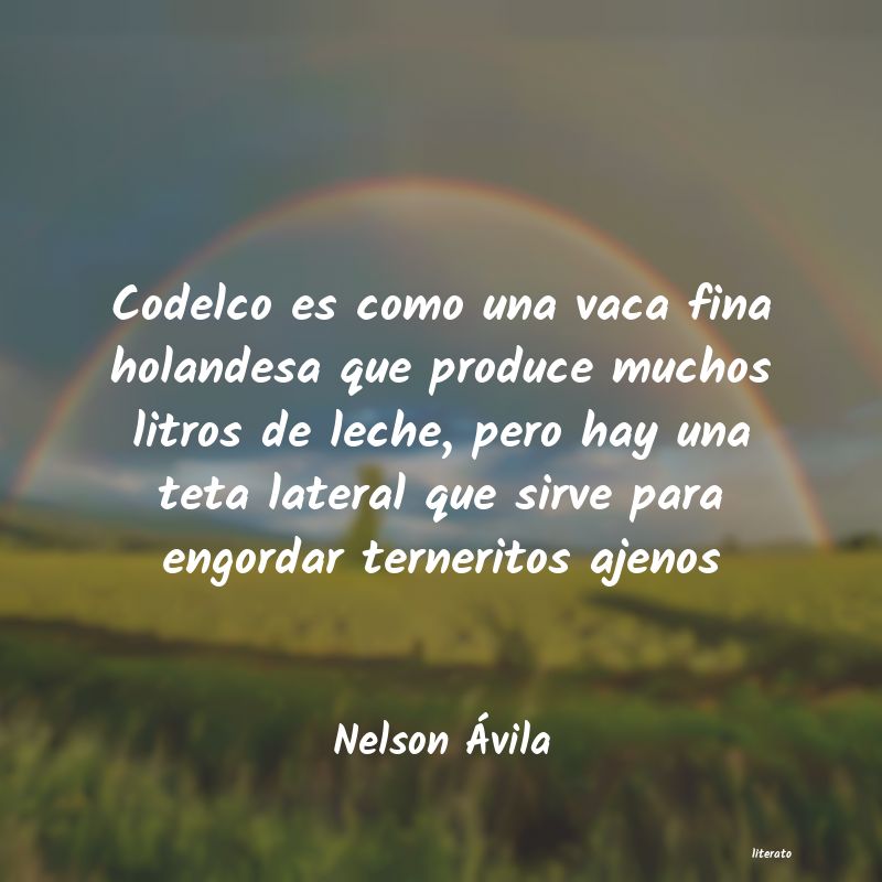 Frases de Nelson Ávila