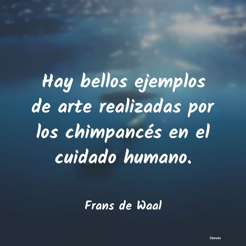 frases de Frans de Waal