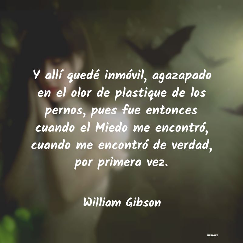 Frases de William Gibson