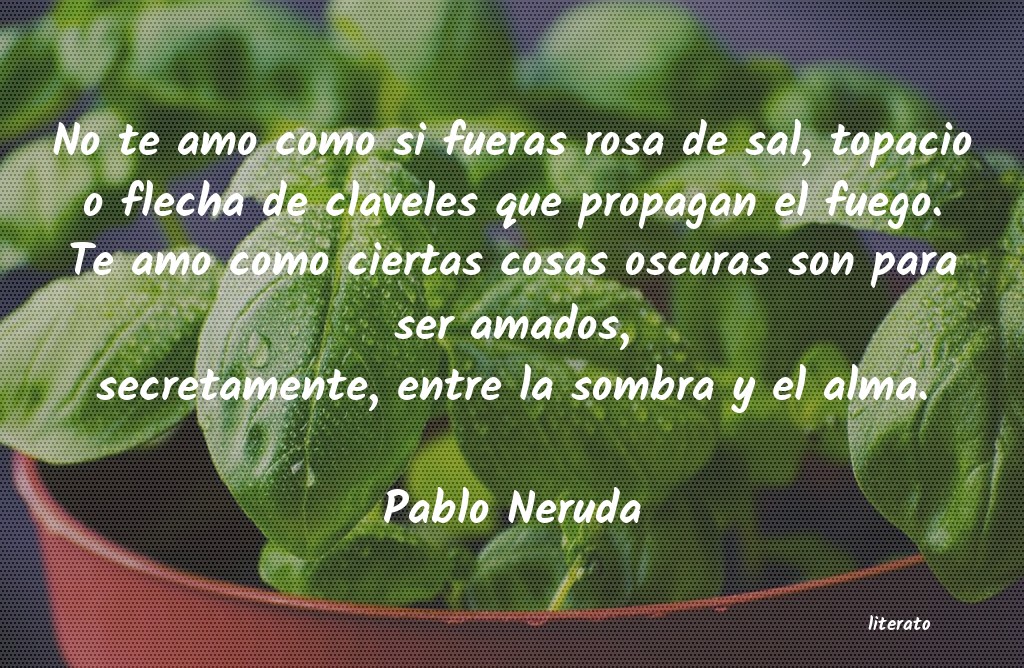 Frases de Pablo Neruda