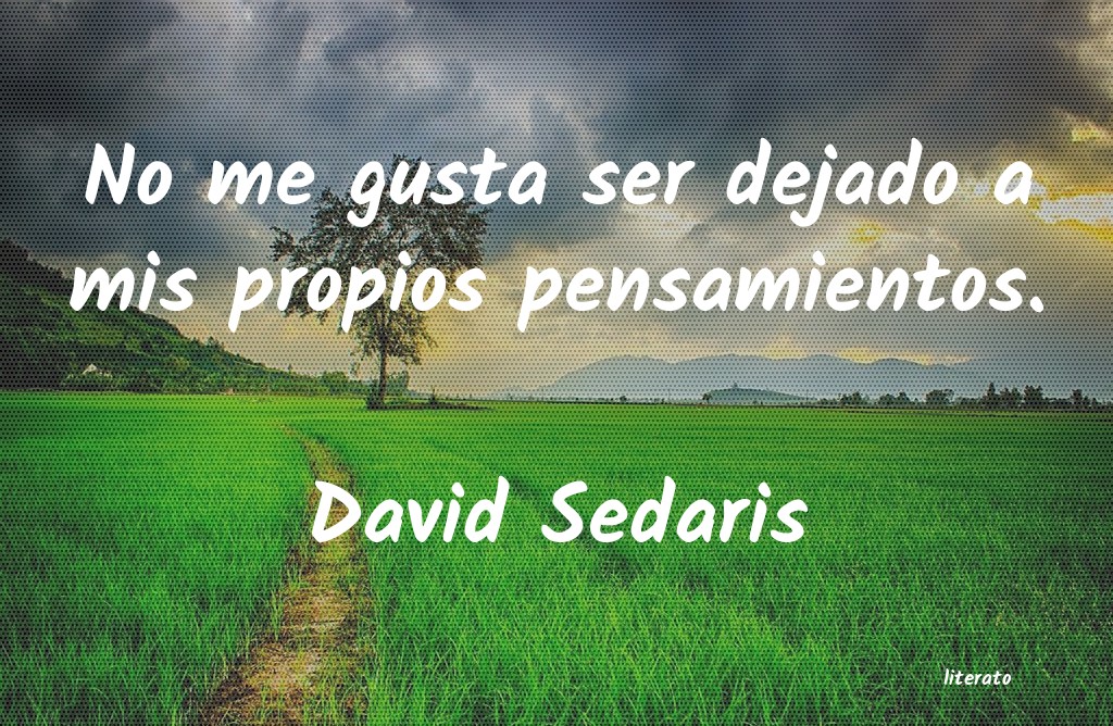 Frases de David Sedaris