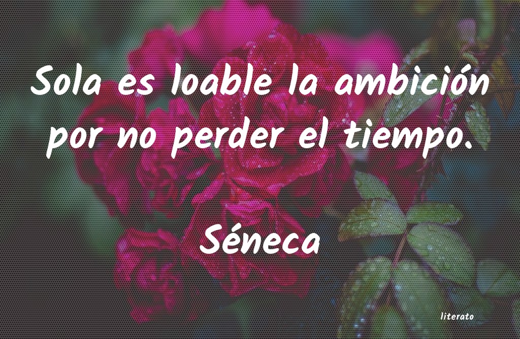 frases de Séneca