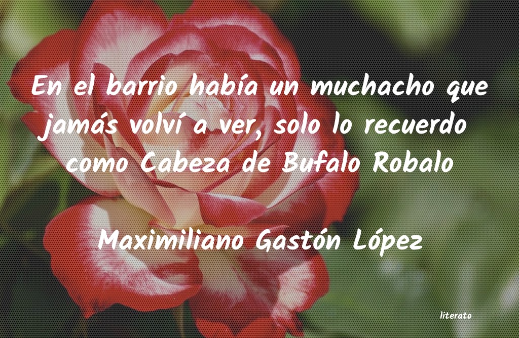 Frases de Maximiliano Gastón López