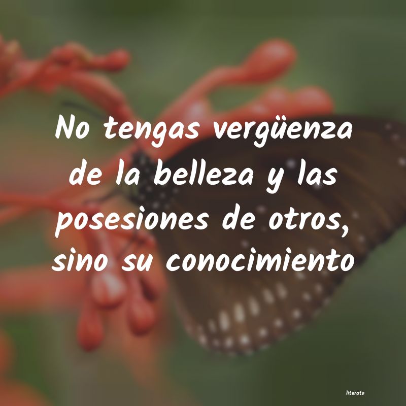frases