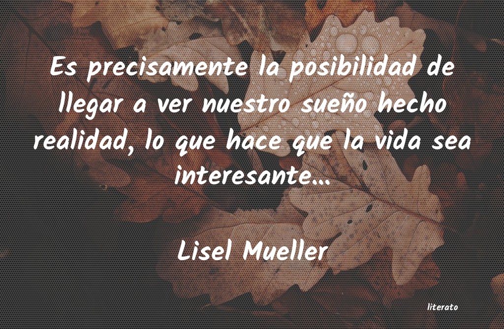 Frases de Lisel Mueller