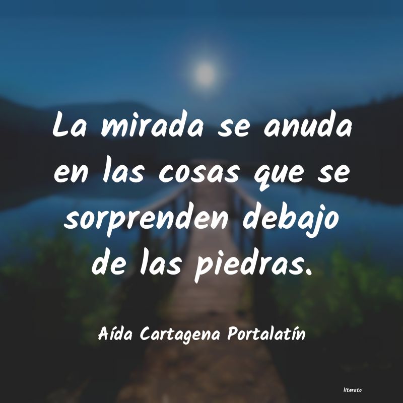 Frases de Aída Cartagena Portalatín