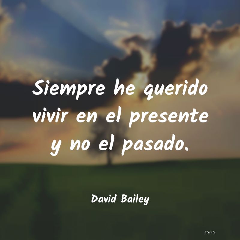 Frases de David Bailey