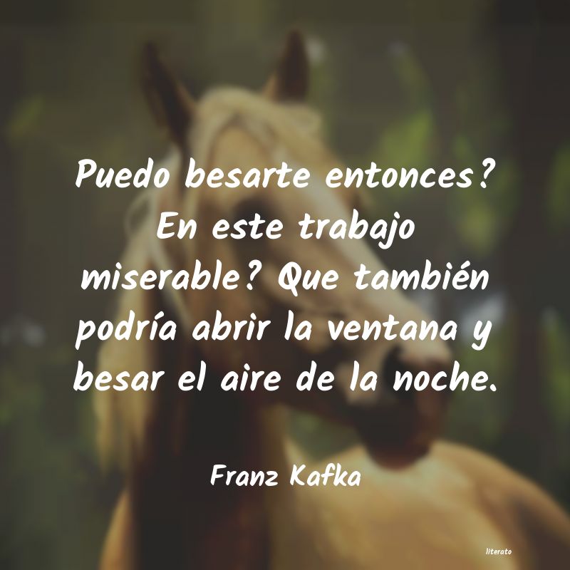 Frases de Franz Kafka