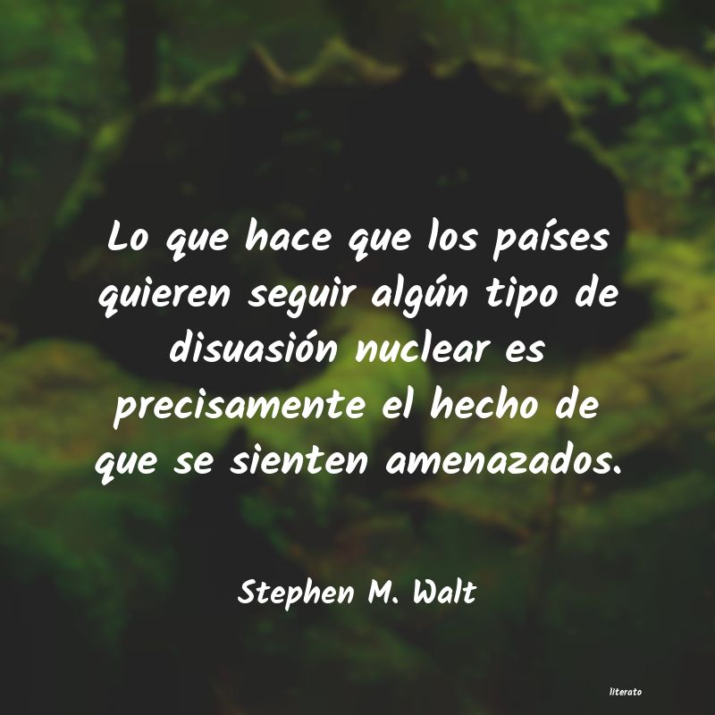 Frases de Stephen M. Walt