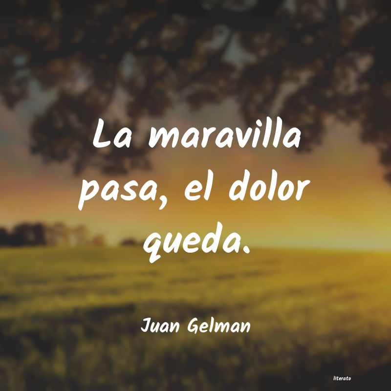 frases de Juan Gelman