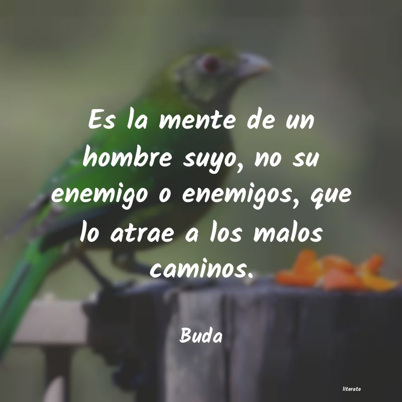 frases de Buda