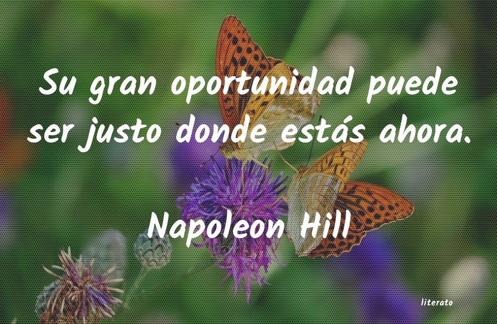 frases de Napoleon Hill