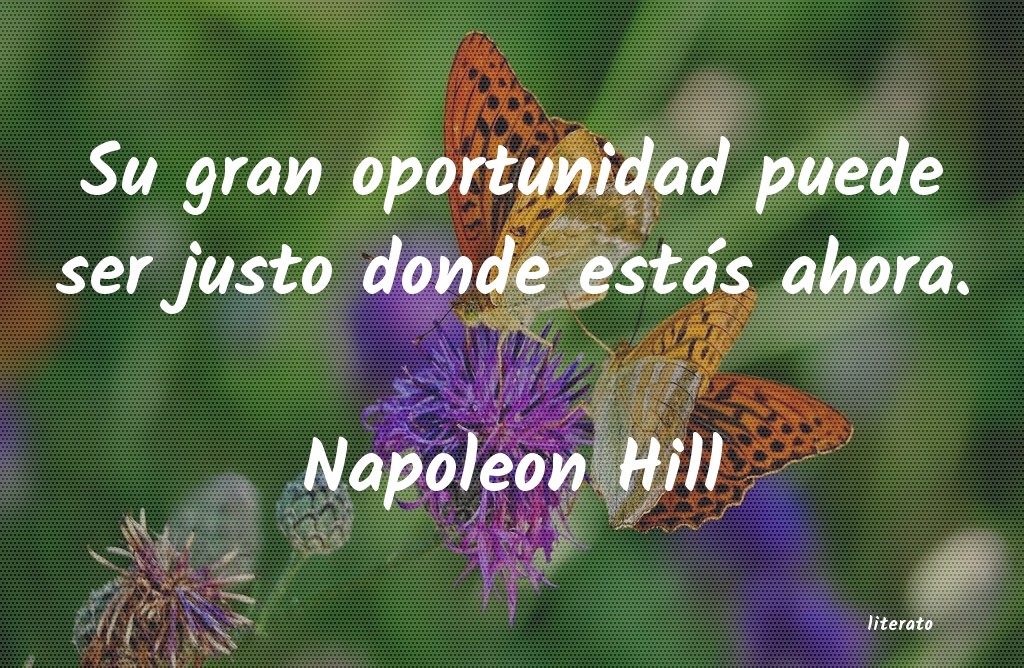 Frases de Napoleon Hill