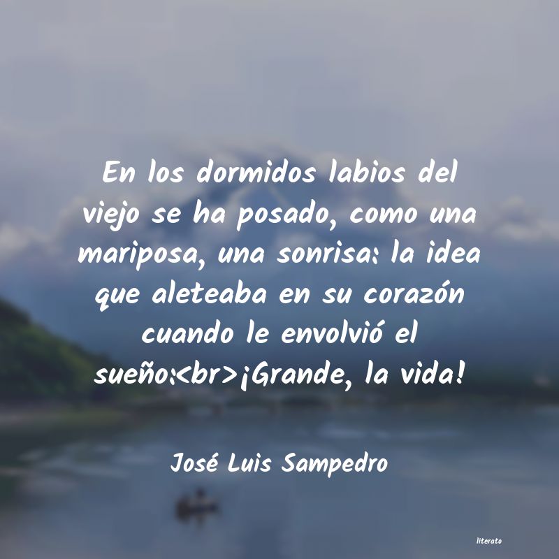 Frases de José Luis Sampedro