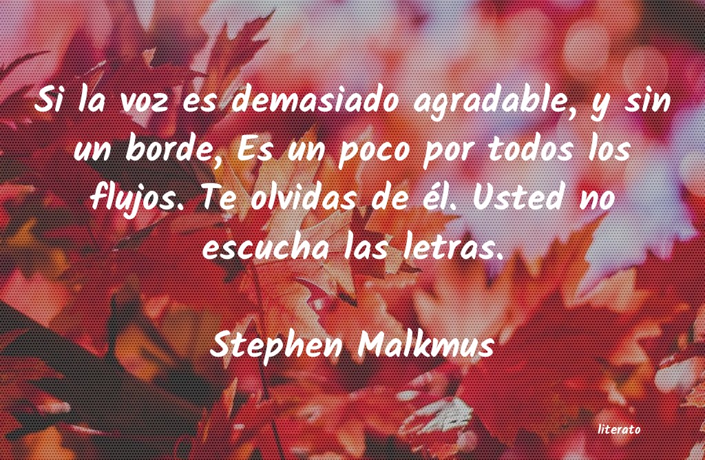 Frases de Stephen Malkmus