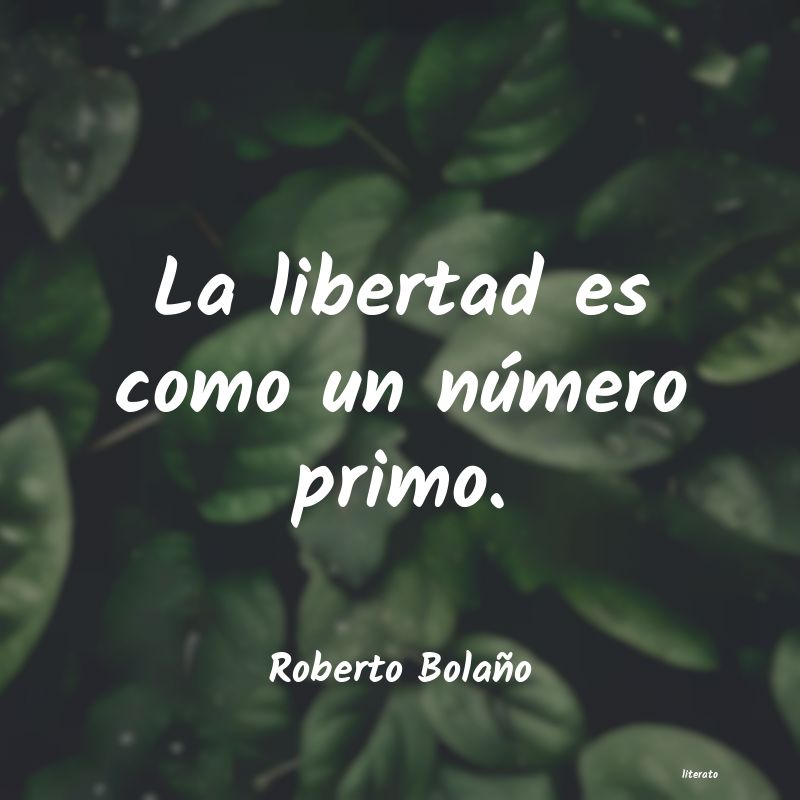 Frases de Roberto Bolaño