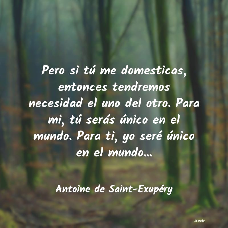 Frases de Antoine de Saint-Exupéry