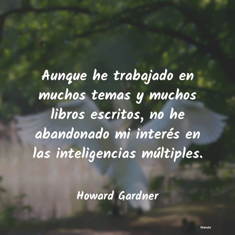 Frases de Howard Gardner