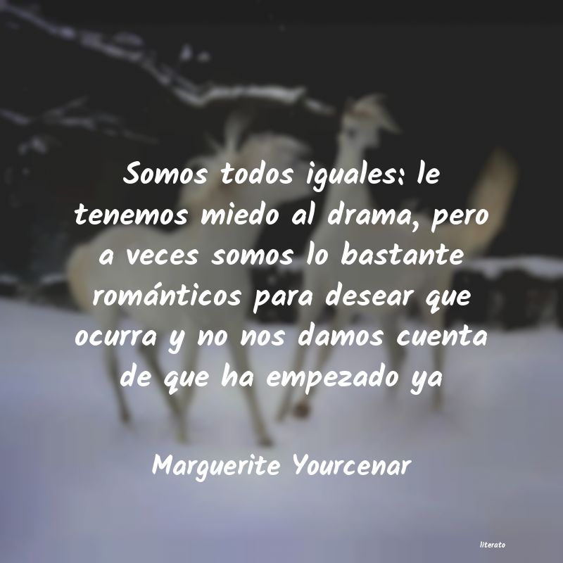 Frases de Marguerite Yourcenar