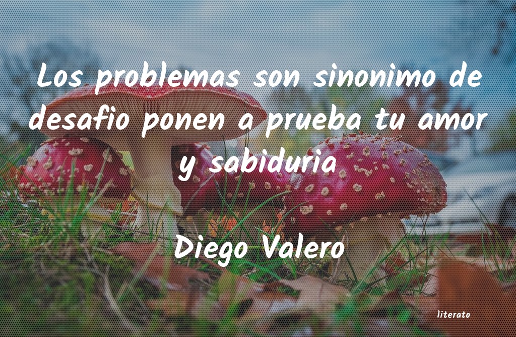 Frases de Diego Valero