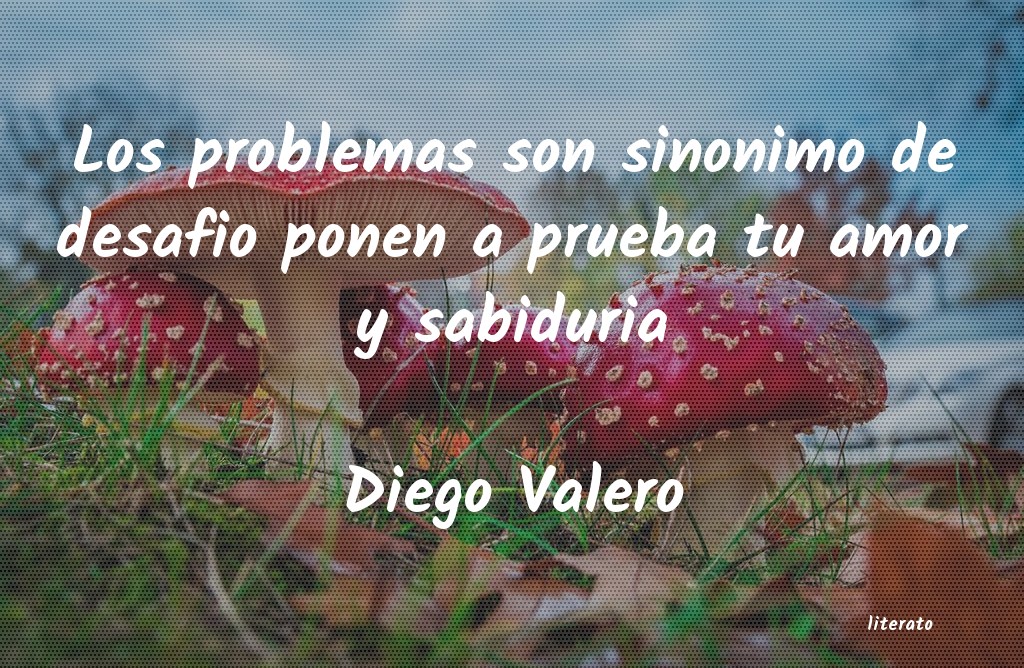 frases de Diego Valero