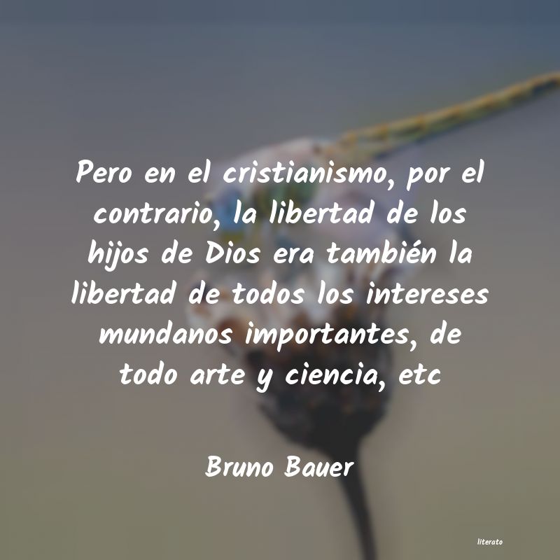 Frases de Bruno Bauer