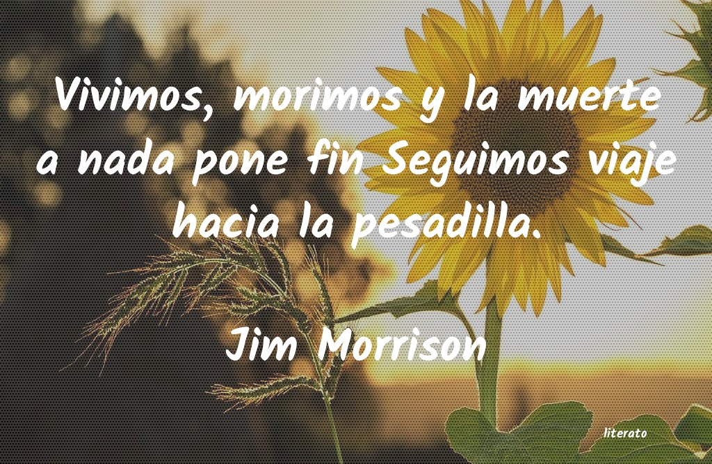 Frases de Jim Morrison