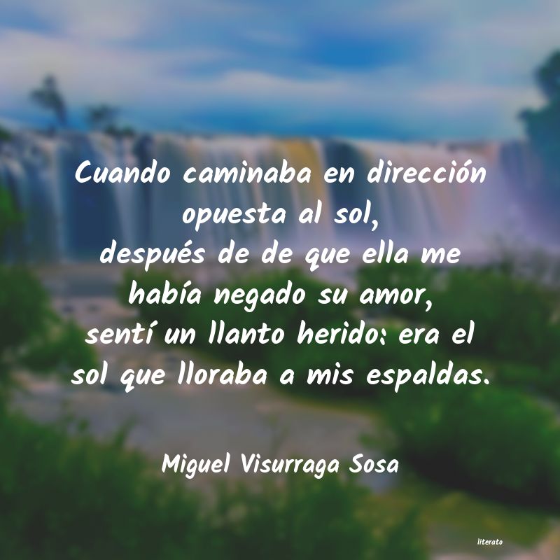 frases de Miguel Visurraga Sosa