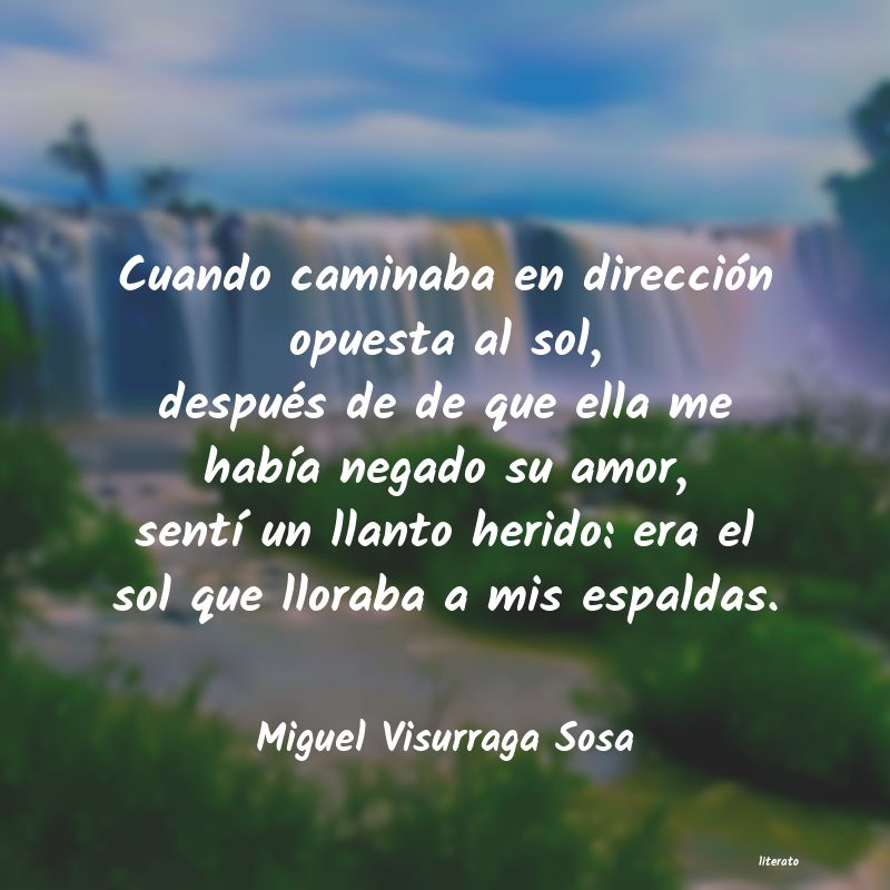 Frases de Miguel Visurraga Sosa