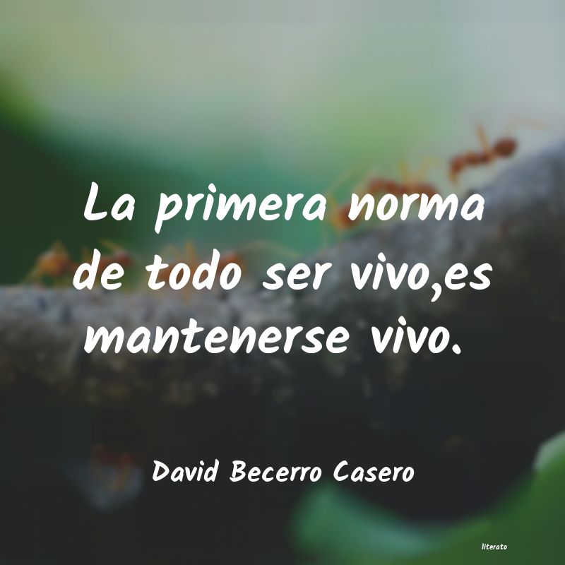 Frases de David Becerro Casero