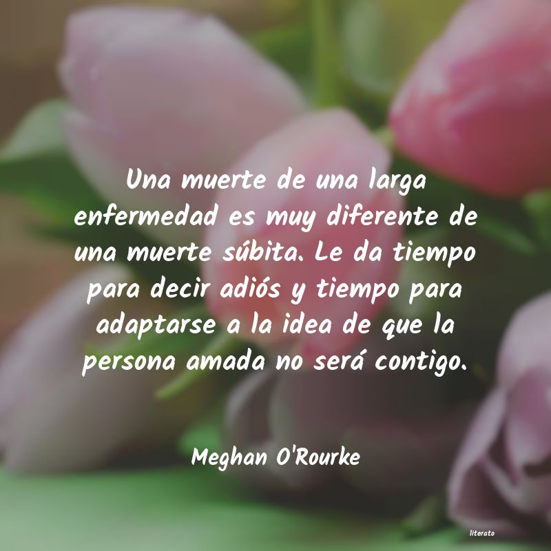 frases de Meghan O'Rourke