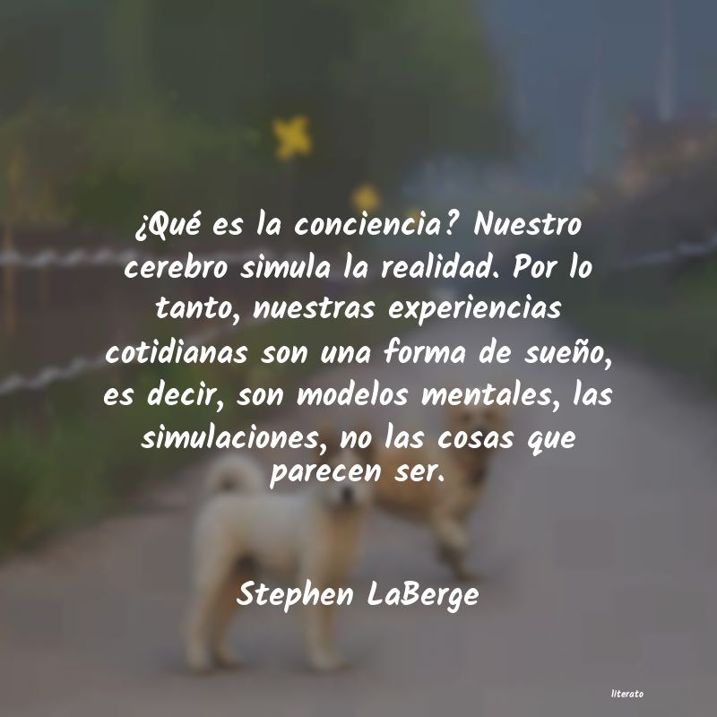 Frases de Stephen LaBerge