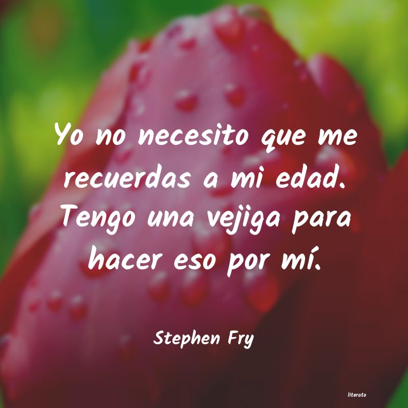 Frases de Stephen Fry