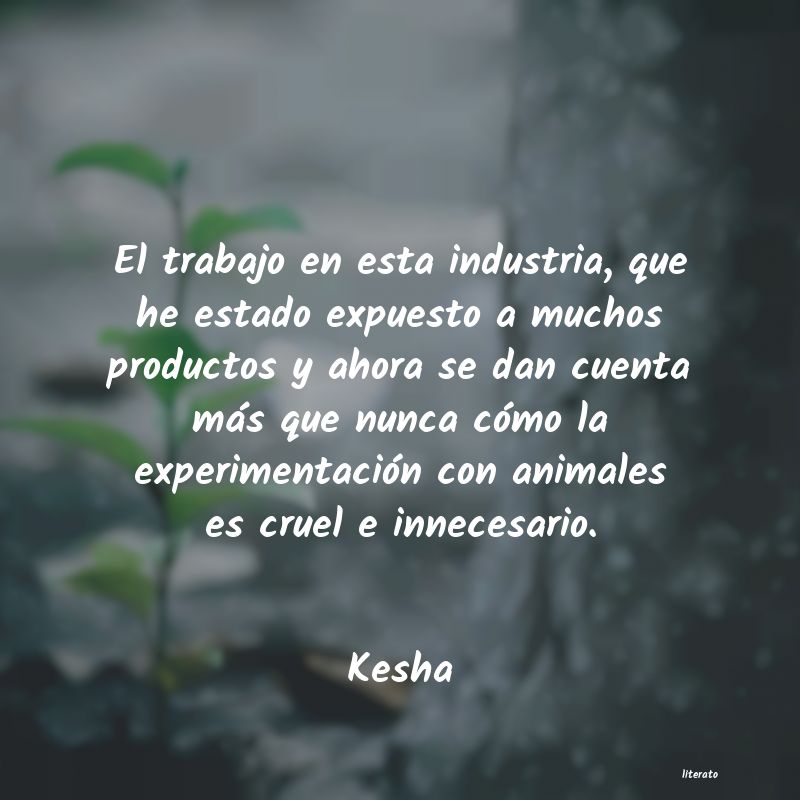 frases de Kesha
