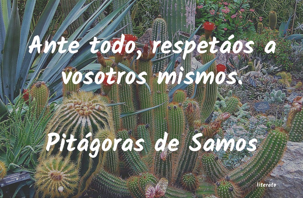 Frases de Pitágoras de Samos