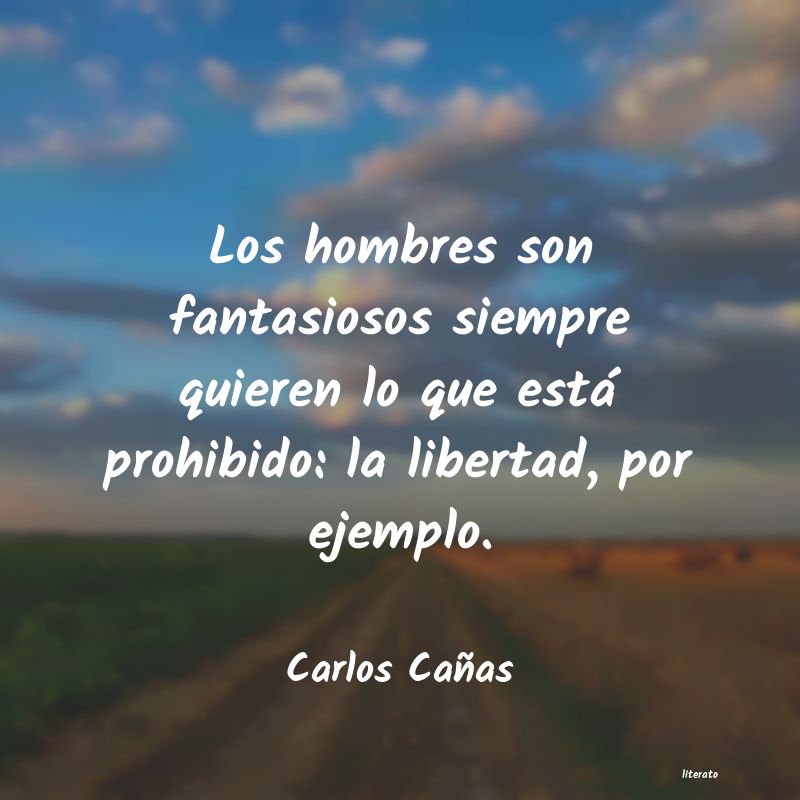 Frases de Carlos Cañas