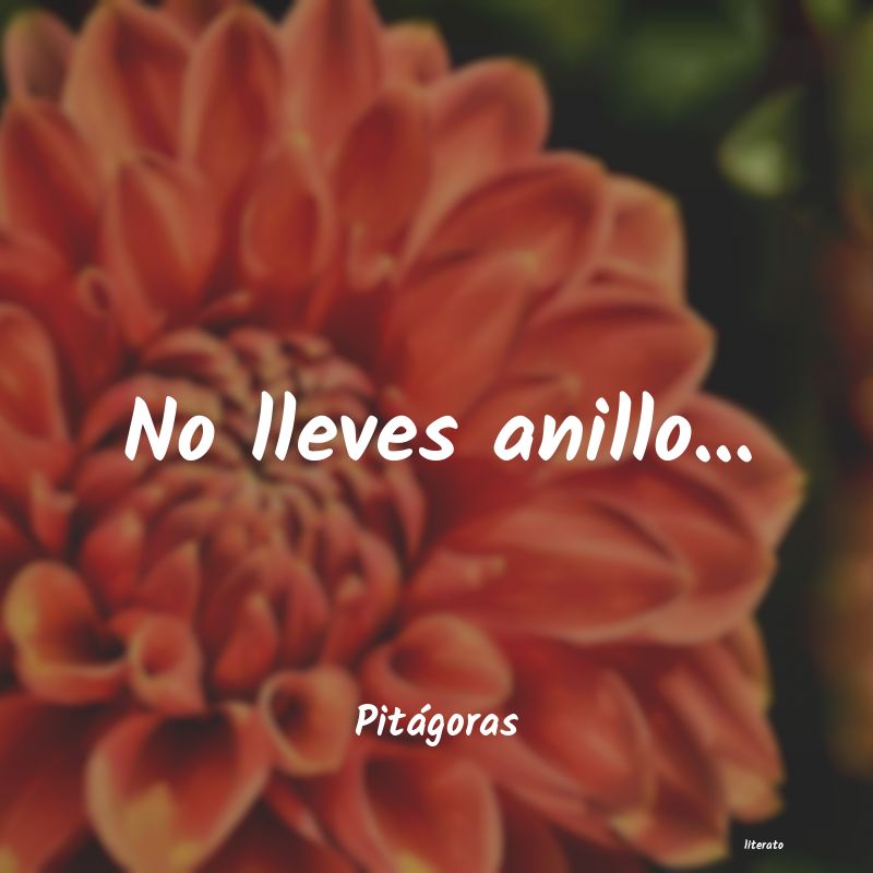 frases de Pitágoras