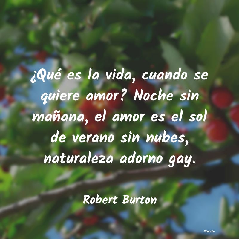 Frases de Robert Burton