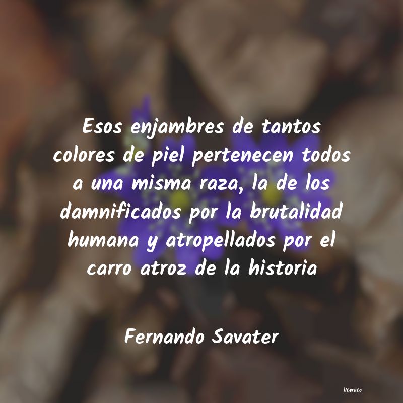 frases de Fernando Savater
