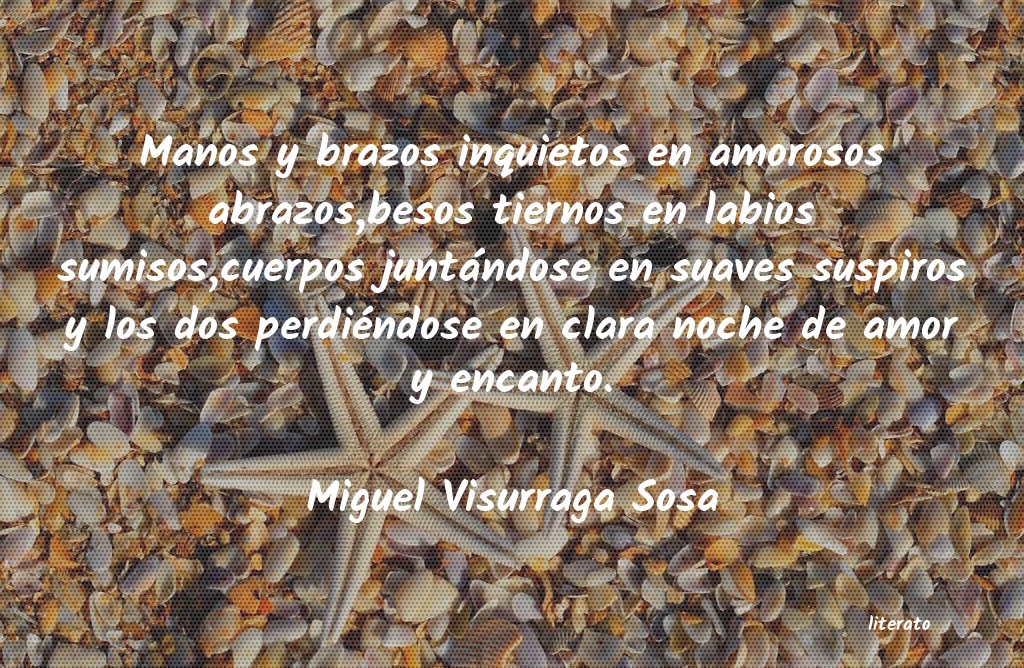 frases de Miguel Visurraga Sosa