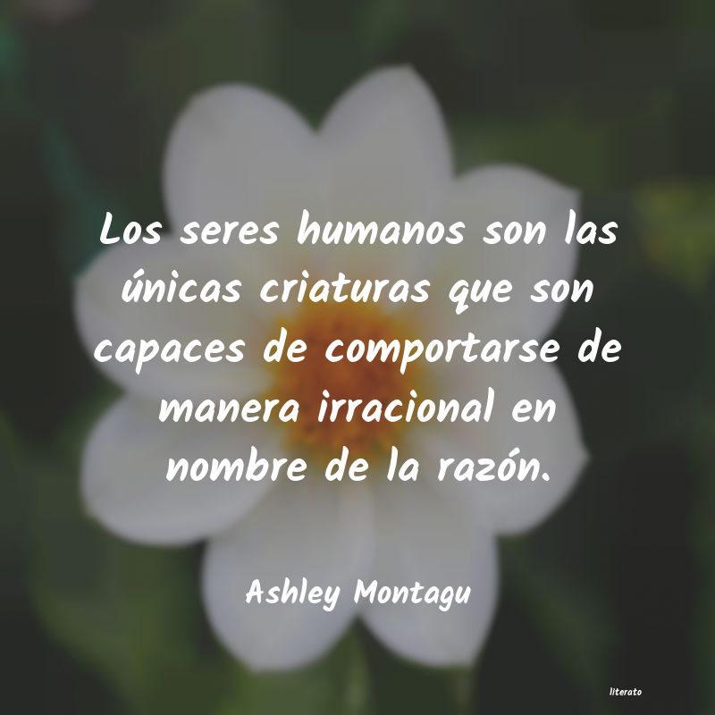 Frases de Ashley Montagu