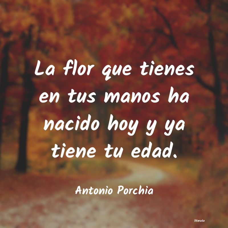 frases de Antonio Porchia