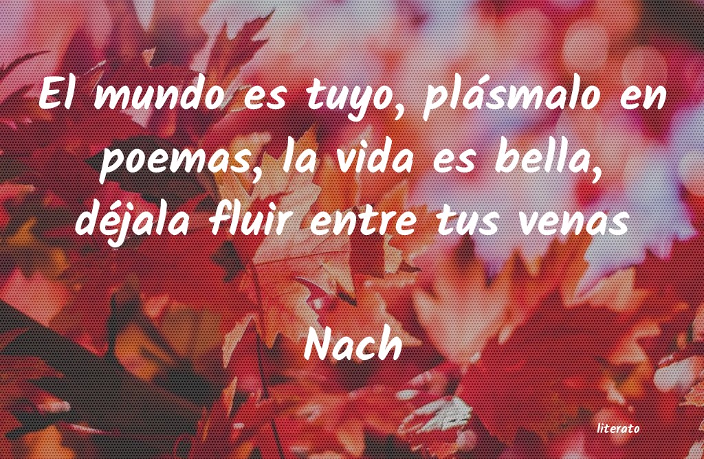 Frases de Nach